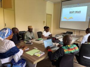 Séance de travail sur le choix du LOGO de BSP-Mali à l’Institut National de Santé Publique : Equipe BSP-Mali, Partenaires techniques et financier (18 mars 2025)